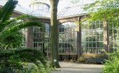 De Plantage